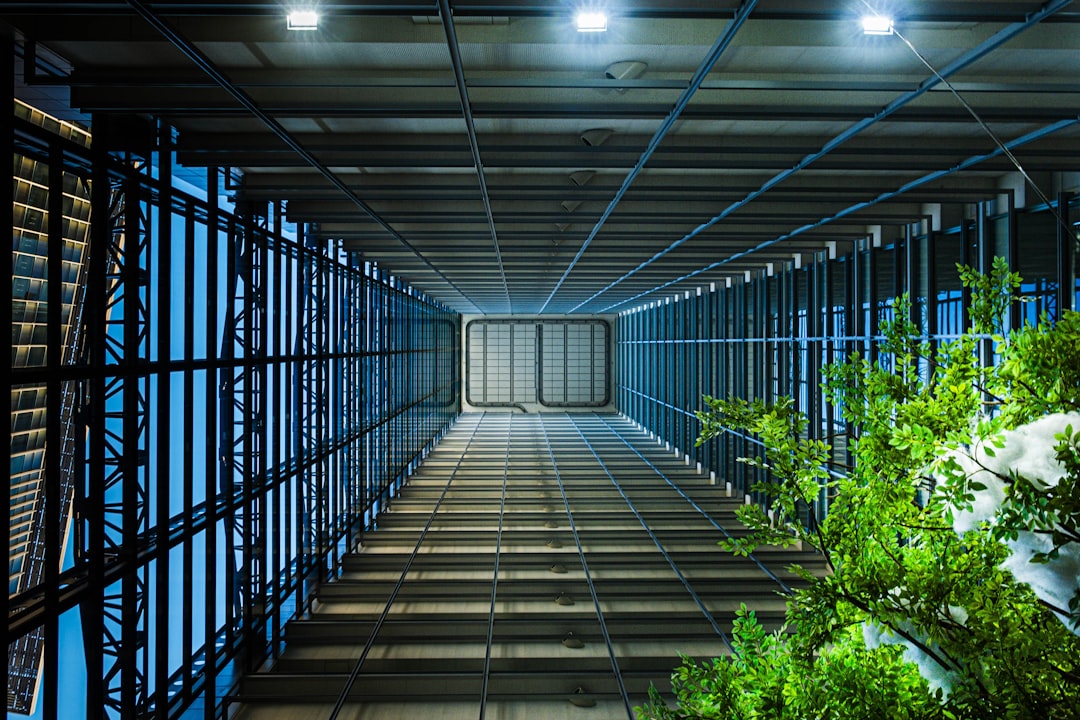 A long hallway with lots of windows and plants